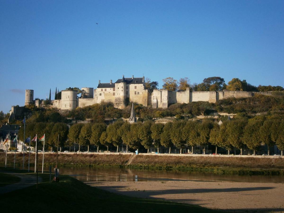 Chez Elisa Bed and Breakfast Chinon Buitenkant foto